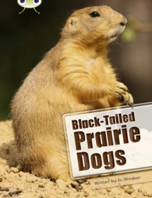 BC NF White B/2A Black-Tailed Prairie Dogs : Bug Club NF White B/2A Black-tailed Prairie Dogs NF White B/2a, Paperback / softback Book BC NF White B/2A Black-Tailed Prairie Dogs : Bug Club NF White B/2A Black-tailed Prairie Dogs NF White B/2a, Paperback / softback Book