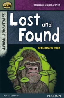 Rapid Stage 7 Assessment book: Lost And Found