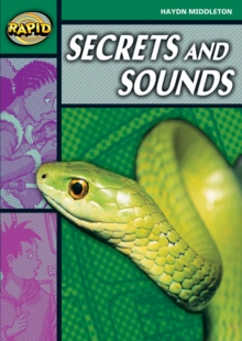 Rapid Reading: Secrets & Sounds (Stage 5, Level 5B)