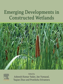 Emerging Developments in Constructed Wetlands