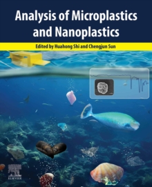 Analysis of Microplastics and Nanoplastics