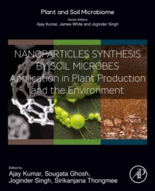 Nanoparticles Synthesis by Soil Microbes : Application in Plant Production and the Environment