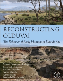 Reconstructing Olduvai : The Behavior of Early Humans at David's Site