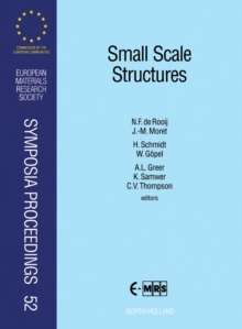 Small Scale Structures