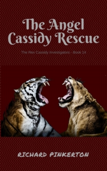 Angel Cassidy Rescue : The Rex Cassidy Investigators, #14