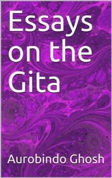 Essays on The Gita