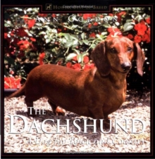 The Dachshund : A Dog For Town and Country