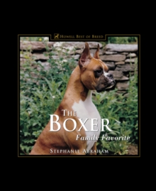 The Boxer : Family Favorite