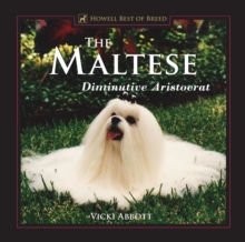 The Maltese : Diminutive Aristocrat