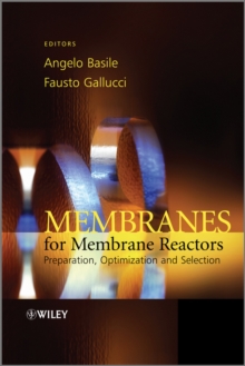 Membranes for Membrane Reactors : Preparation, Optimization and Selection, Hardback Book Membranes for Membrane Reactors : Preparation, Optimization and Selection, Hardback Book