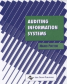 Auditing Information Systems