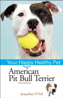 American Pit Bull Terrier : Your Happy Healthy Pet