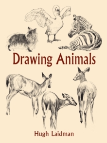 Drawing Animals