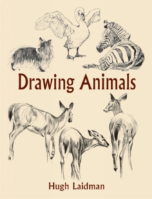 Drawing Animals, Paperback / softback Book Drawing Animals, Paperback / softback Book