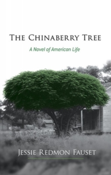 The Chinaberry Tree : A Novel of American Life, Paperback / softback Book The Chinaberry Tree : A Novel of American Life, Paperback / softback Book