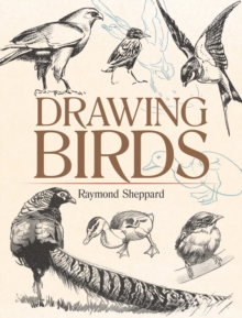 Drawing Birds