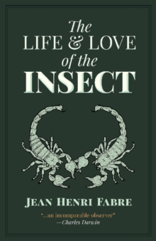 The Life and Love of the Insect, Paperback / softback Book The Life and Love of the Insect, Paperback / softback Book