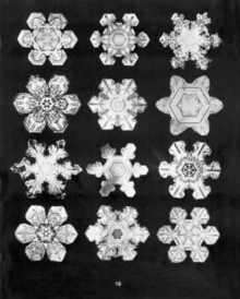 Bentley's Snowflakes, Mixed media product Book Bentley's Snowflakes, Mixed media product Book