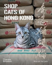 Shop Cats of Hong Kong