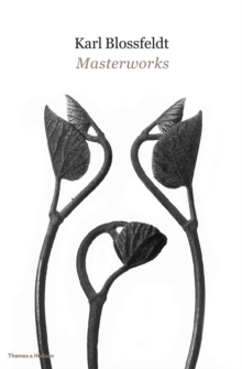 Karl Blossfeldt: Masterworks, Hardback Book Karl Blossfeldt: Masterworks, Hardback Book
