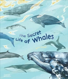 The Secret Life of Whales