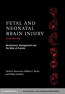 Fetal and Neonatal Brain Injury : Mechanisms, Management and the Risks of Practice