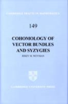 Cohomology of Vector Bundles and Syzygies