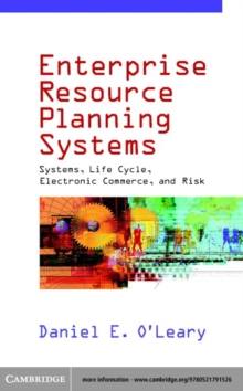 Enterprise Resource Planning Systems : Systems, Life Cycle, Electronic Commerce, and Risk