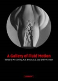 Gallery of Fluid Motion