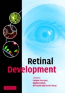 Retinal Development