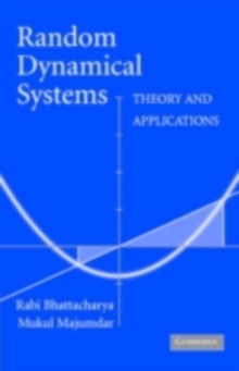 Random Dynamical Systems : Theory and Applications