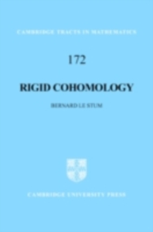 Rigid Cohomology