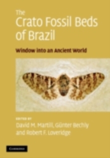 Crato Fossil Beds of Brazil : Window into an Ancient World