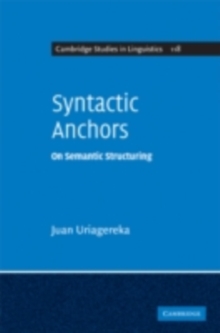 Syntactic Anchors : On Semantic Structuring