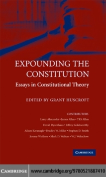 Expounding the Constitution : Essays in Constitutional Theory