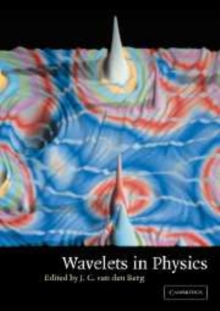 Wavelets in Physics