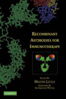 Recombinant Antibodies for Immunotherapy