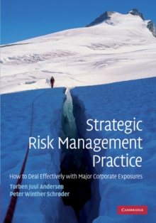 Strategic Risk Management Practice : How to Deal Effectively with Major Corporate Exposures