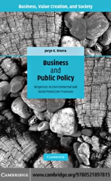 Business and Public Policy : Responses to Environmental and Social Protection Processes