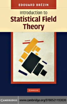 Introduction to Statistical Field Theory