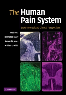 Human Pain System : Experimental and Clinical Perspectives