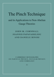 Pinch Technique and its Applications to Non-Abelian Gauge Theories