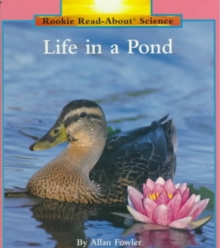 Life in a Pond, Paperback / softback Book Life in a Pond, Paperback / softback Book