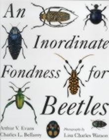 An Inordinate Fondness for Beetles, Paperback Book An Inordinate Fondness for Beetles, Paperback Book