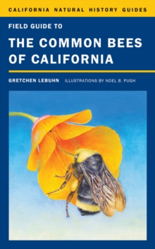 Field Guide to the Common Bees of California : Including Bees of the Western United States, Hardback Book Field Guide to the Common Bees of California : Including Bees of the Western United States, Hardback Book