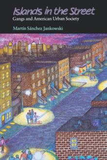 Islands in the Street : Gangs and American Urban Society