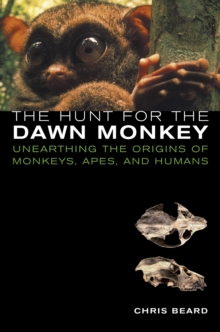 The Hunt for the Dawn Monkey : Unearthing the Origins of Monkeys, Apes, and Humans