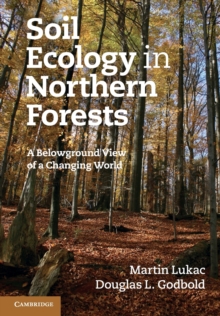 Soil Ecology in Northern Forests : A Belowground View of a Changing World, Paperback / softback Book Soil Ecology in Northern Forests : A Belowground View of a Changing World, Paperback / softback Book