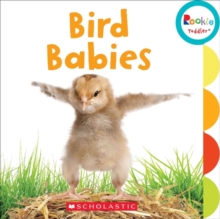 BIRD BABIES, Hardback Book BIRD BABIES, Hardback Book