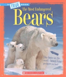 BEARS, Paperback Book BEARS, Paperback Book